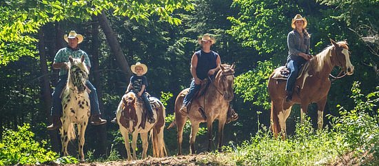 Ruggieros Public Horseback Riding at Painted Pony Ranch image