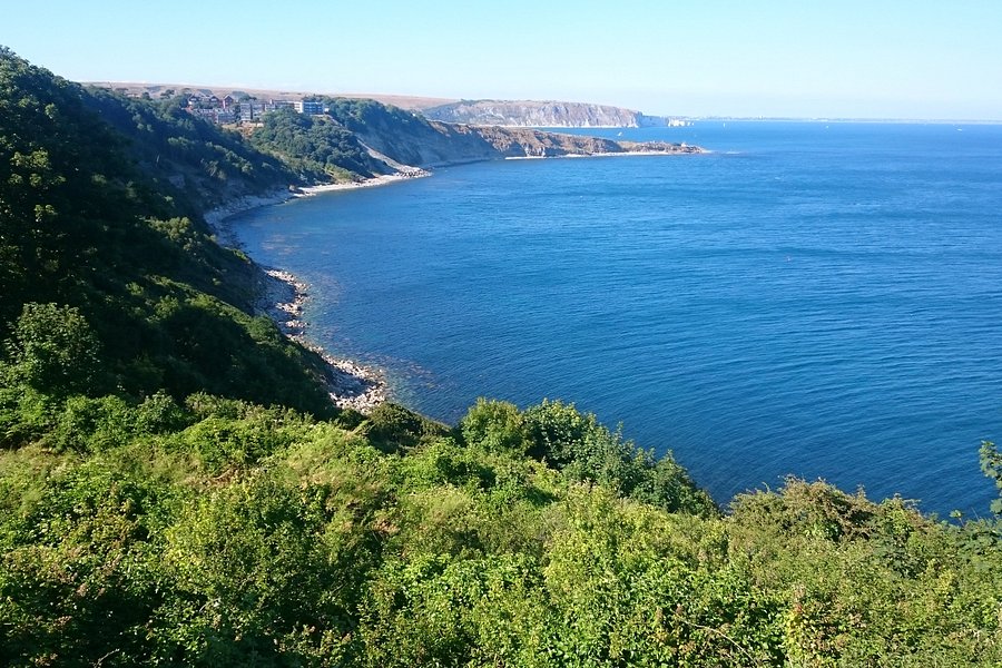 Durlston Country Park image