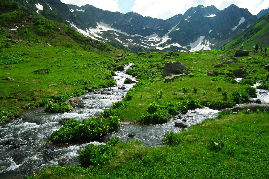 Alpine Meadows of Abkhazia image