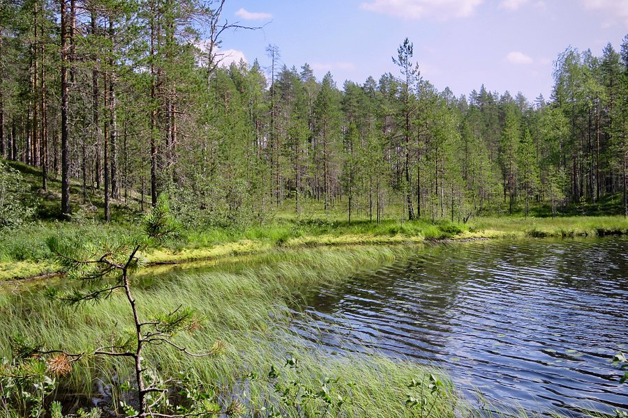 Tiilikkajärven Kansallispuisto image