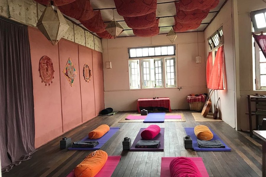 Kalaw Yoga by Sprouting Seeds image