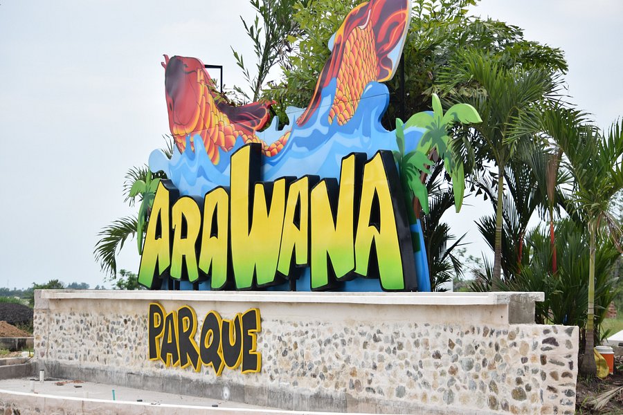 Parque Arawana image