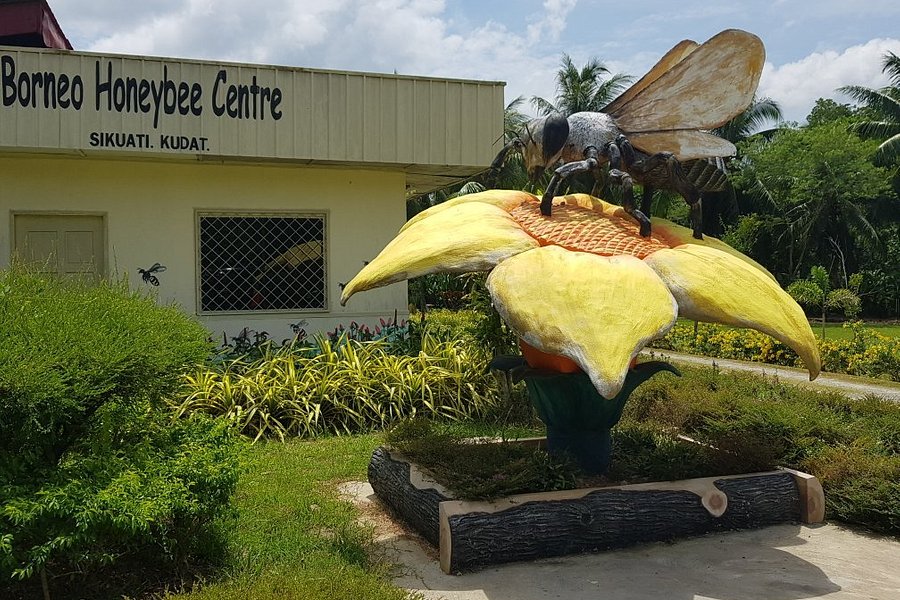 Borneo Honeybee Centre image