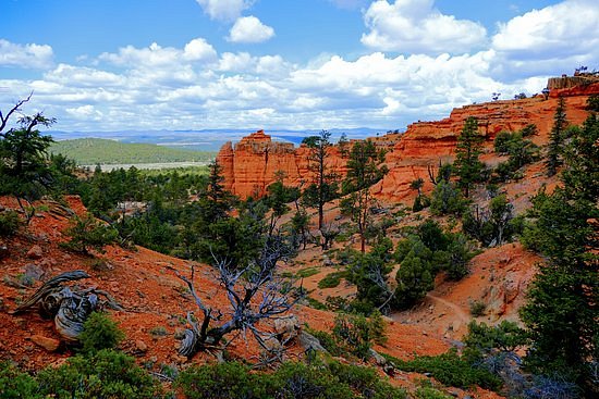 Red Canyon Trails Powell Ranger District Dixie National Forest image