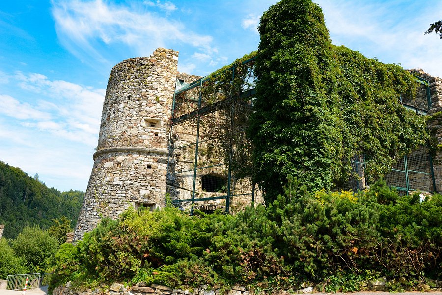 Landskron Castle image