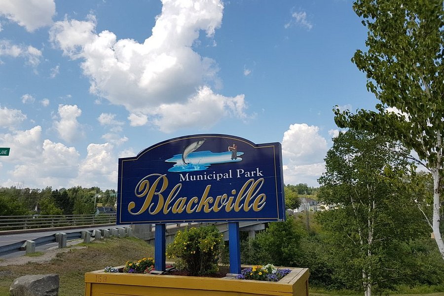 Blackville Municipal Park image