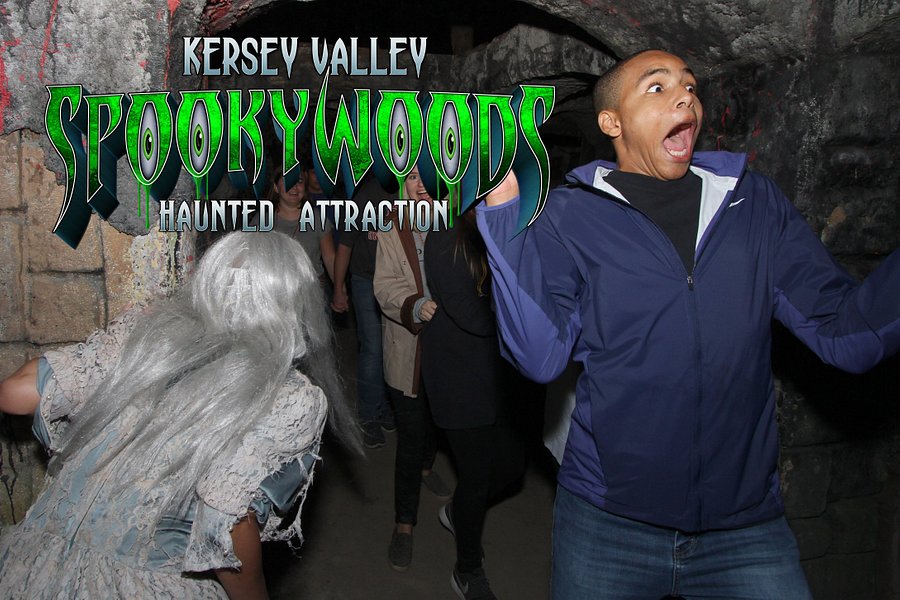 Kersey Valley Spooky Woods image