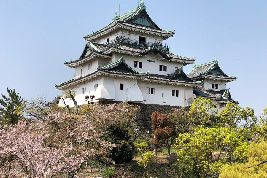 Wakayama Castle image