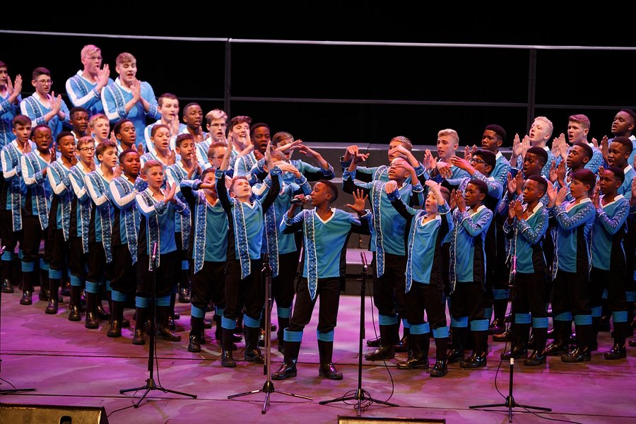 Drakensberg Boys Choir School image