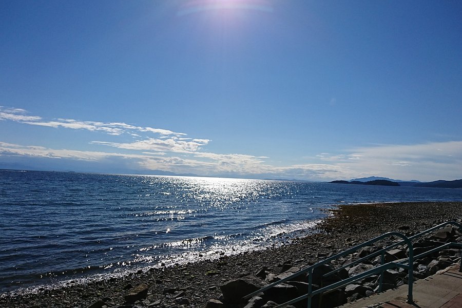 Davis Bay Beach image