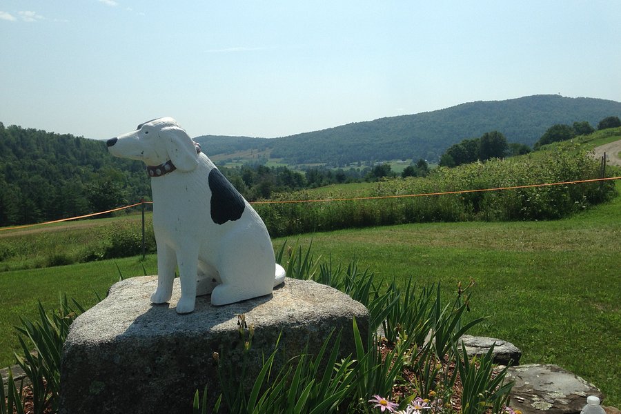 Dog Mountain Home of Stephen Huneck Gallery image