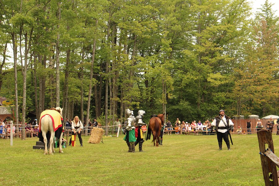 The Great Lakes Medieval Faire image