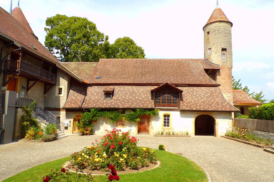 Château de Chenaux image