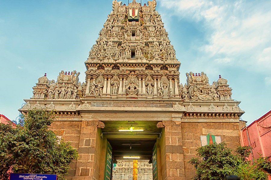 Parthasarathy Temple image