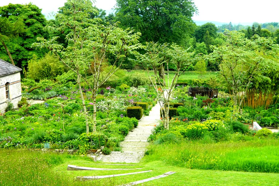 June Blake's Garden image