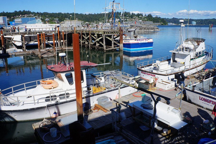 Newport's Historic Bayfront image