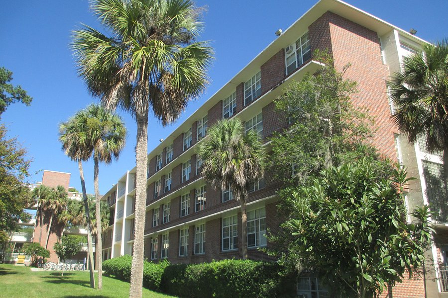 University of Florida image