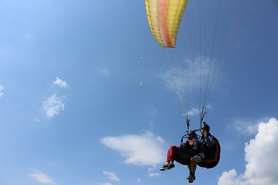 Paraglidingfly Croatia image