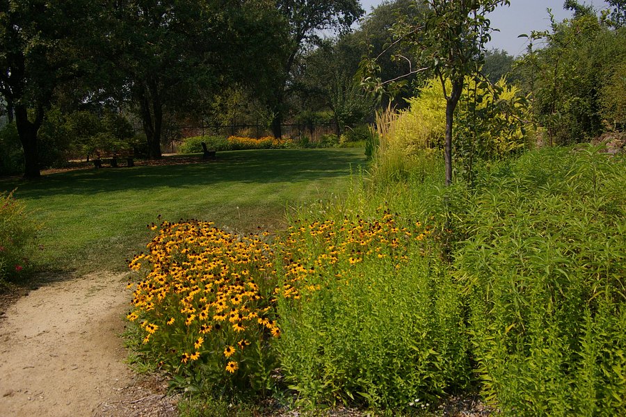 McConnell Arboretum & Botanical Gardens image