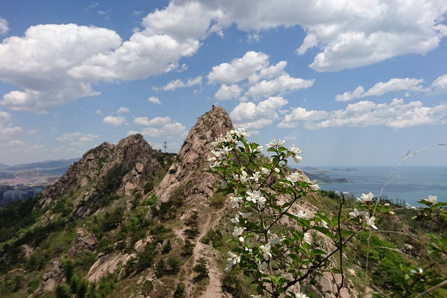 Qingdao Fushan Mountain Park image