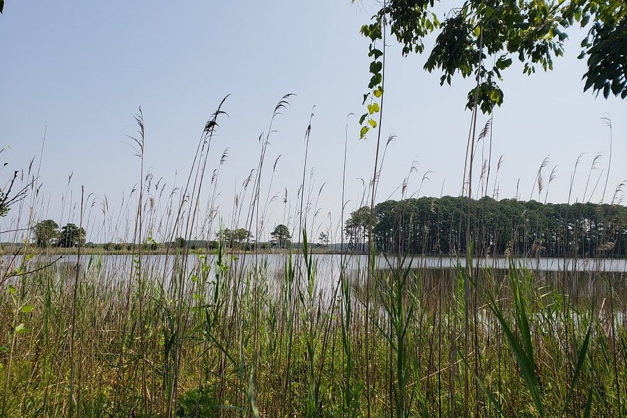 Chesapeake Bay Environmental Center image