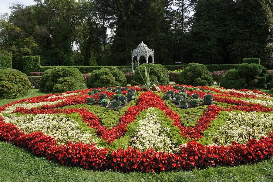 Central Botanical Garden of the National Academy of Sciences of Belarus image