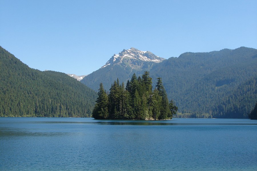 Packwood Lake Trail image