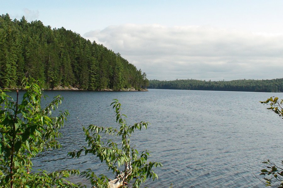 Lake Opeongo image