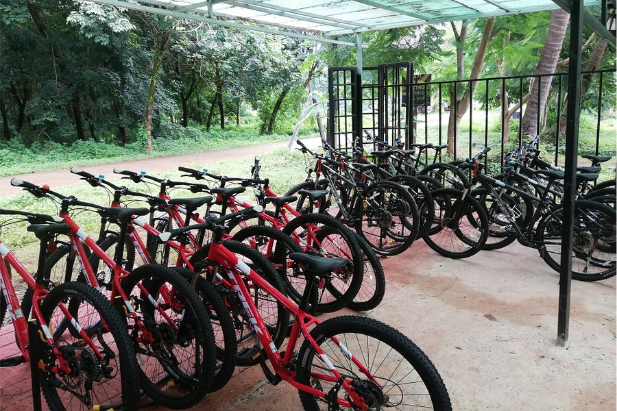 Koh Mak Information & Bike Rental image