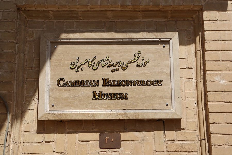 Cambrian Museum image