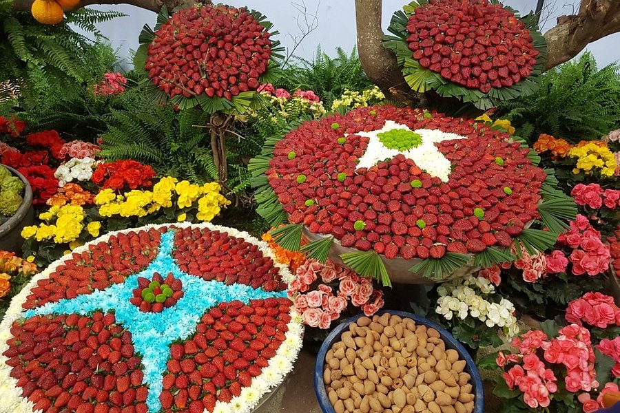 Festa de Flores e Morangos de Atibaia image
