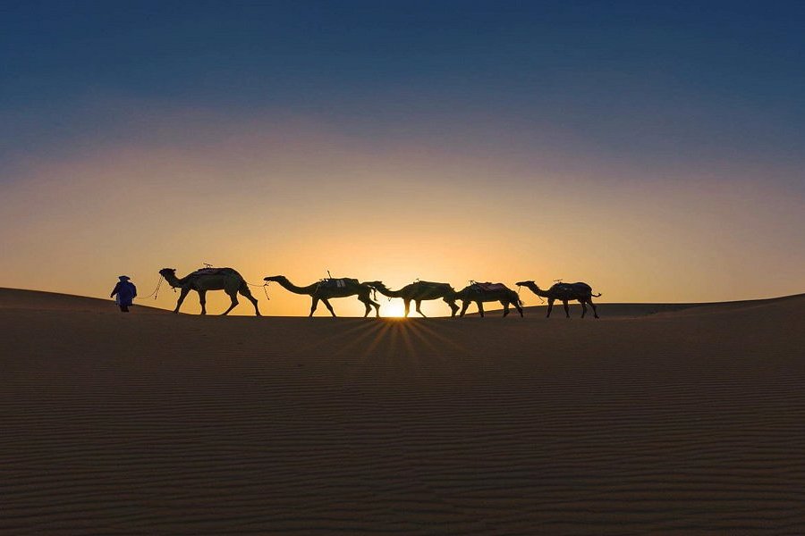 Desert Vibes image
