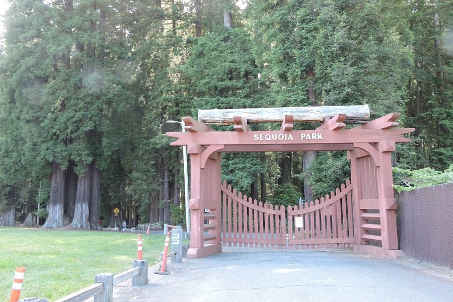 Sequoia Park image