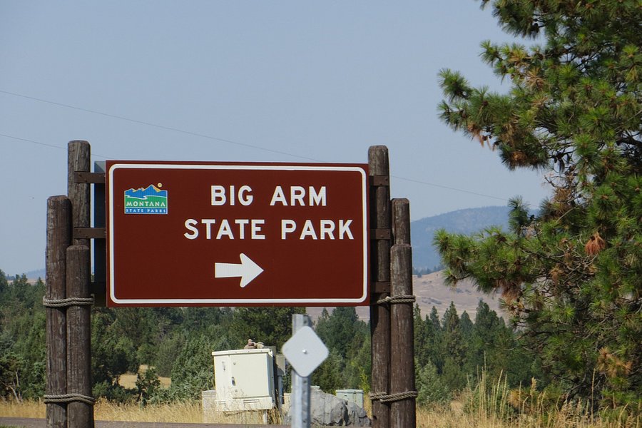 Big Arm State Park image