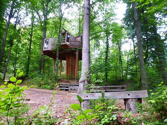 City Forrest Tree House image