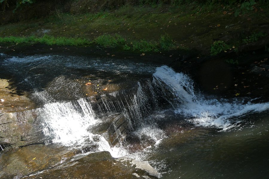 Lake Creek Falls image