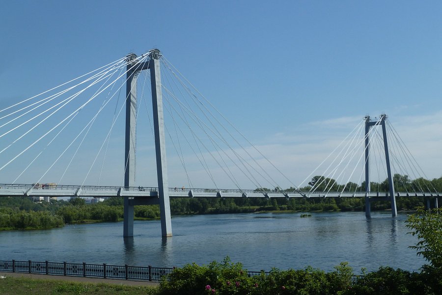 Vynogradovskiy Bridge image