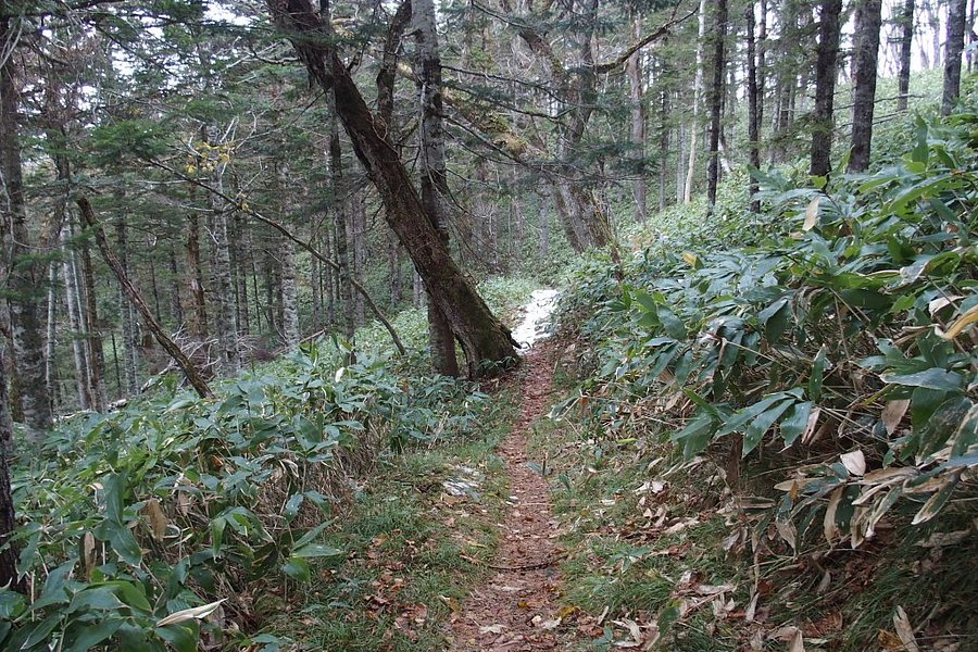 Biruwa Mashu Trail image