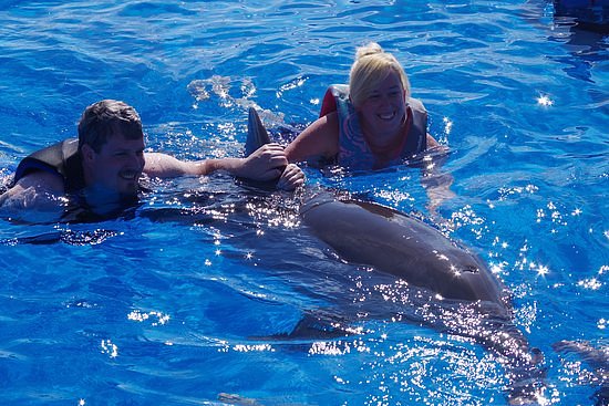 Marineland Dolphin Adventure image