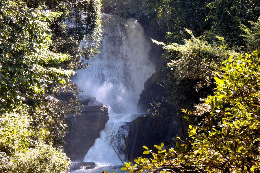 Siripoom Waterfall image