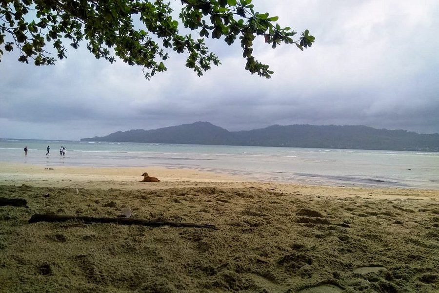 Sopapei Beach image