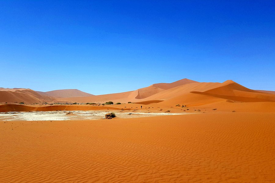 Namib Desert image