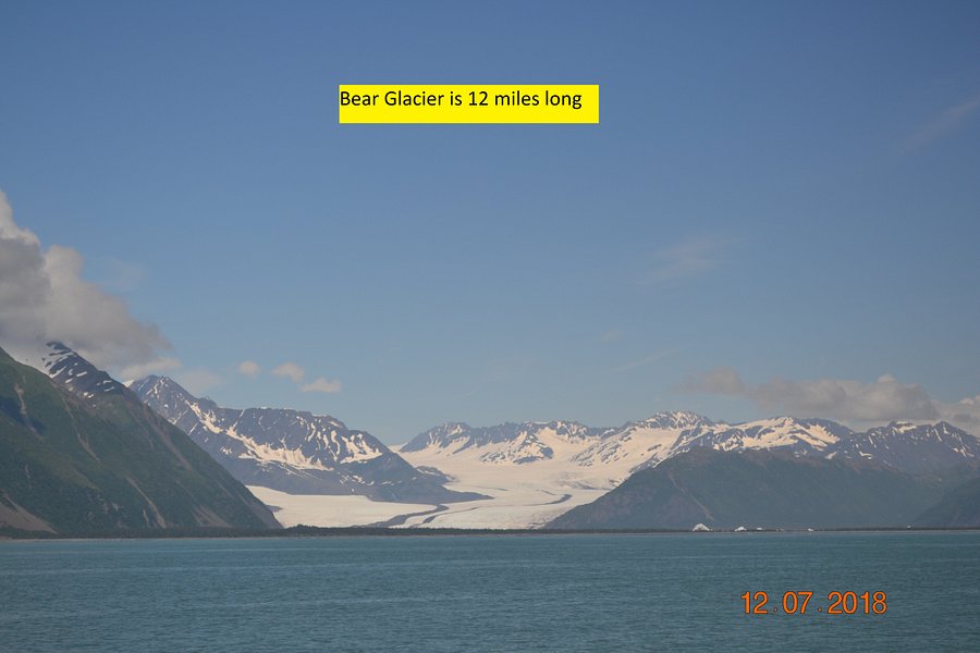 Bear Glacier image