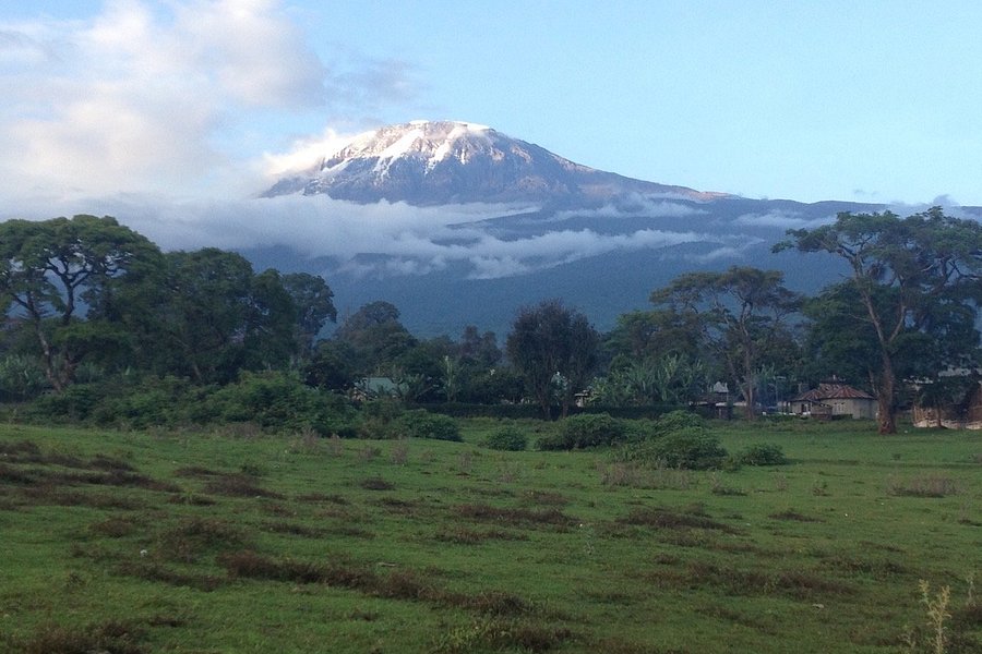 Kilimanjaro Friendship Trail image