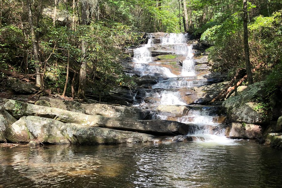 Emery Creek Trail image