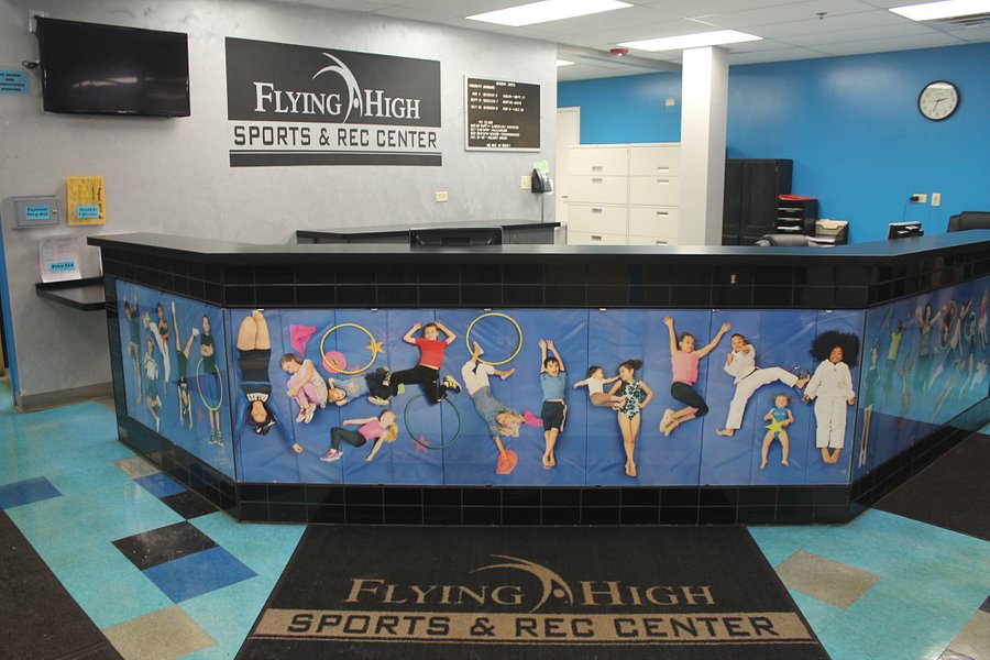 Flying High Sports & Rec Center image