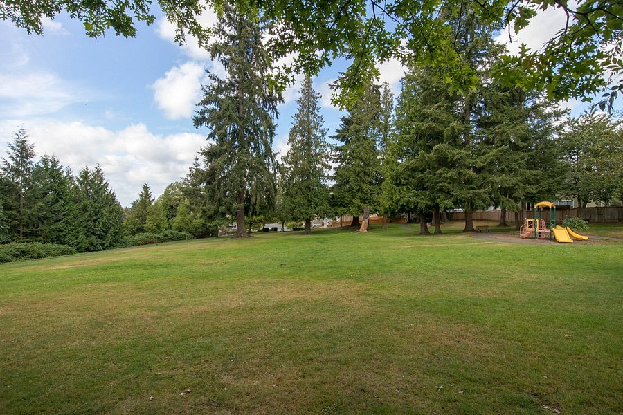 Spruce Neighborhood Park image