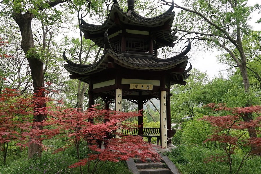 Zhongshan Botanical Garden image