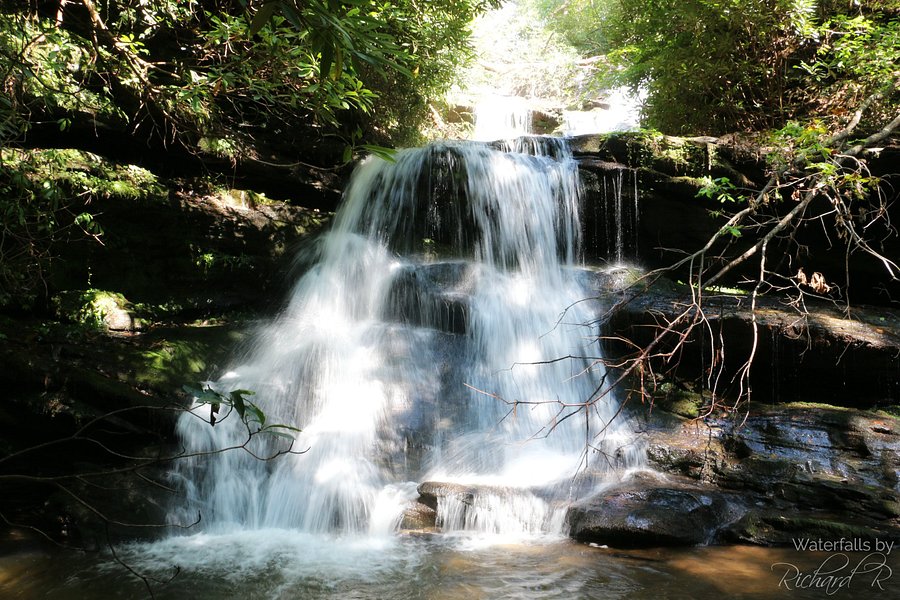 Martins Creek Falls image