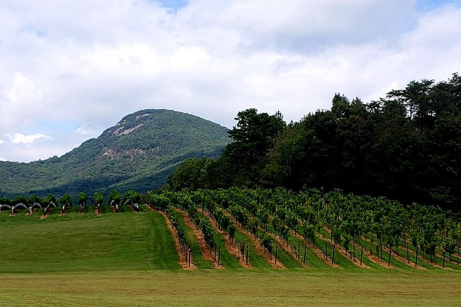Yonah Mountain Vineyards image